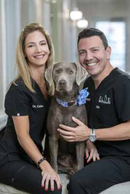 Certified Therapy Dog